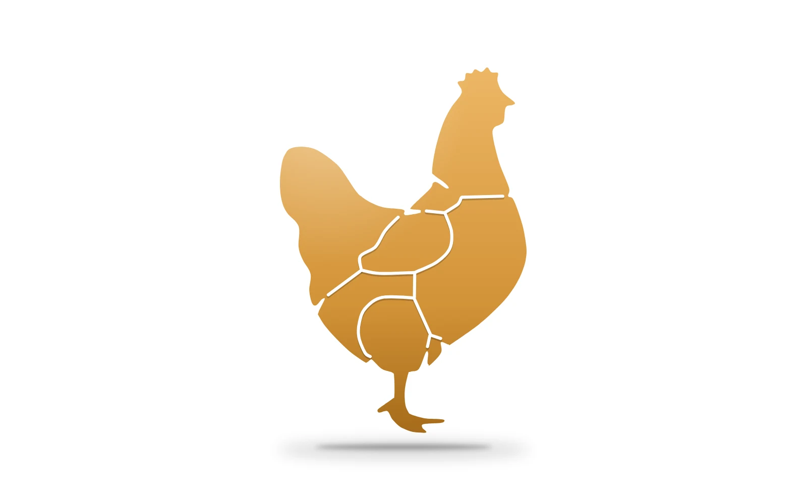 Pollo con las líneas de corte del despiece